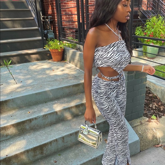 Zebra print chic two piece set - Picture 3 of 5